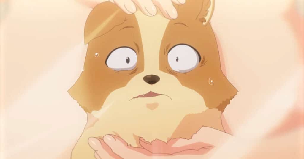 el anime My life as Inukai-san's Dog tiene fecha de estreno