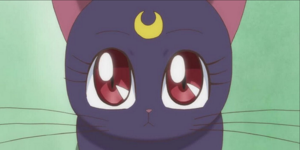 10 Detalles de Sailor Moon Que Son Canon en el anime