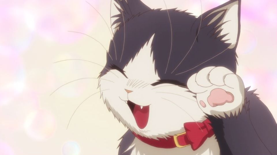 6 Animes para Amantes de los Gatos